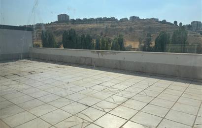 Alacaatlı'da cadde üzeri 200m2 kapalı + 150m2 teras kiralık iş yeri 