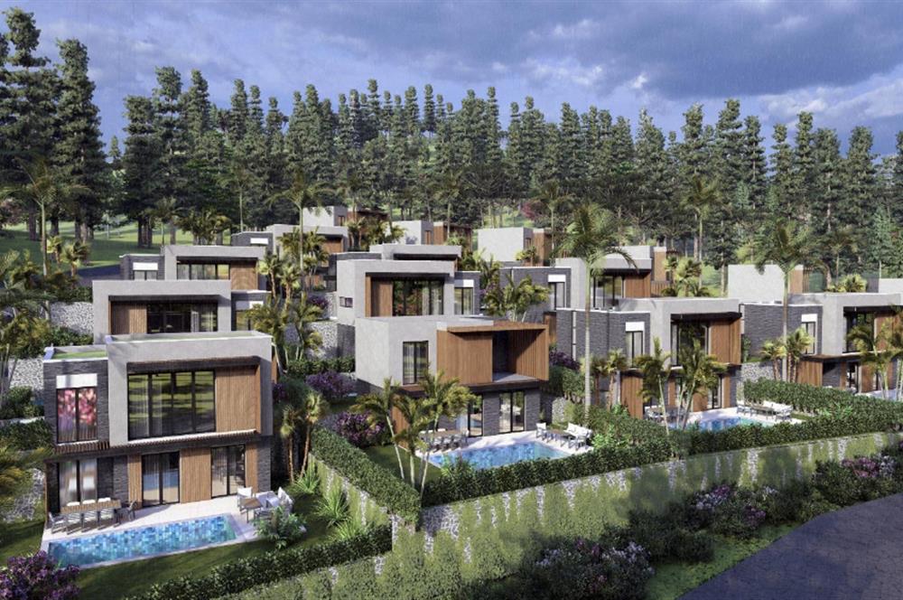 Projeden Satılık Müstakil Havuzlu Modern Mimari 4+1 Villalar | Dereköy - Gümüşlük