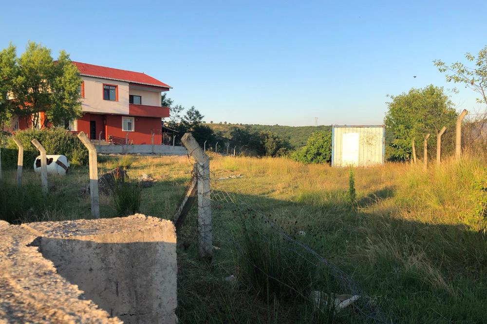 PENDİK GÖÇBEYLİĞİ KÖYÜNDE 3500 M2 KİRALIK ARSA