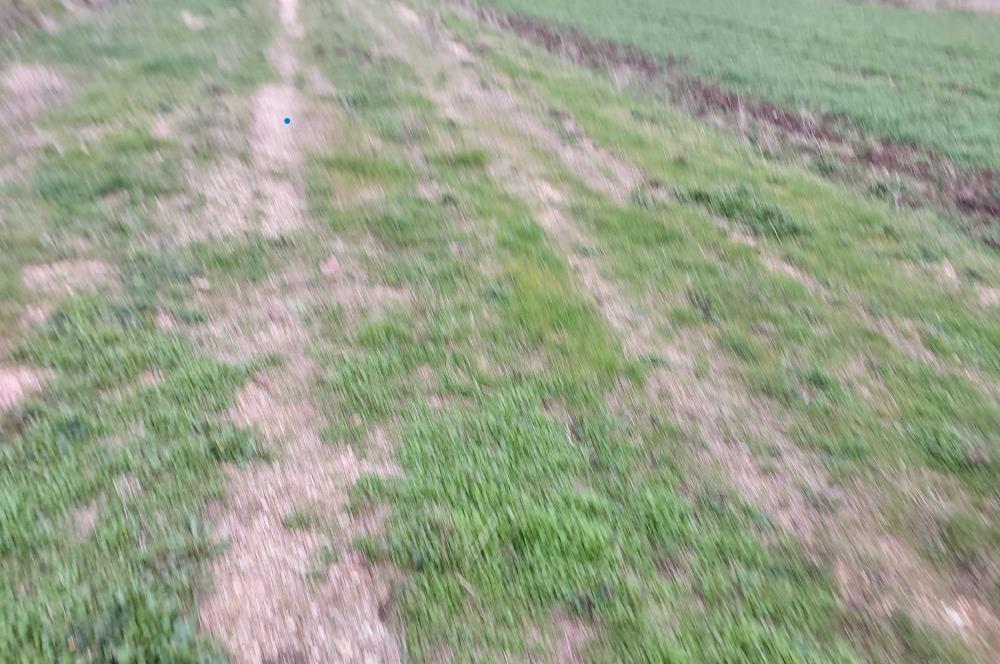 ÇANAKKALE KARACAALİ KÖYÜNDE İMARLI SATILIK ARSA
