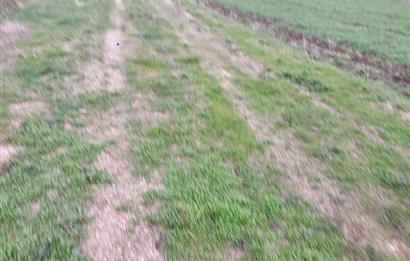 ÇANAKKALE KARACAALİ KÖYÜNDE İMARLI SATILIK ARSA