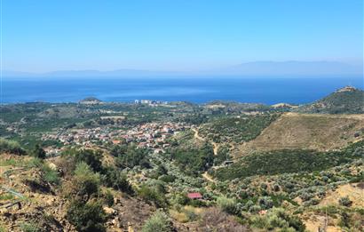 İzmir Özdere Cumhuriyet'te Full Deniz Manzaralı Satılık Tarla.