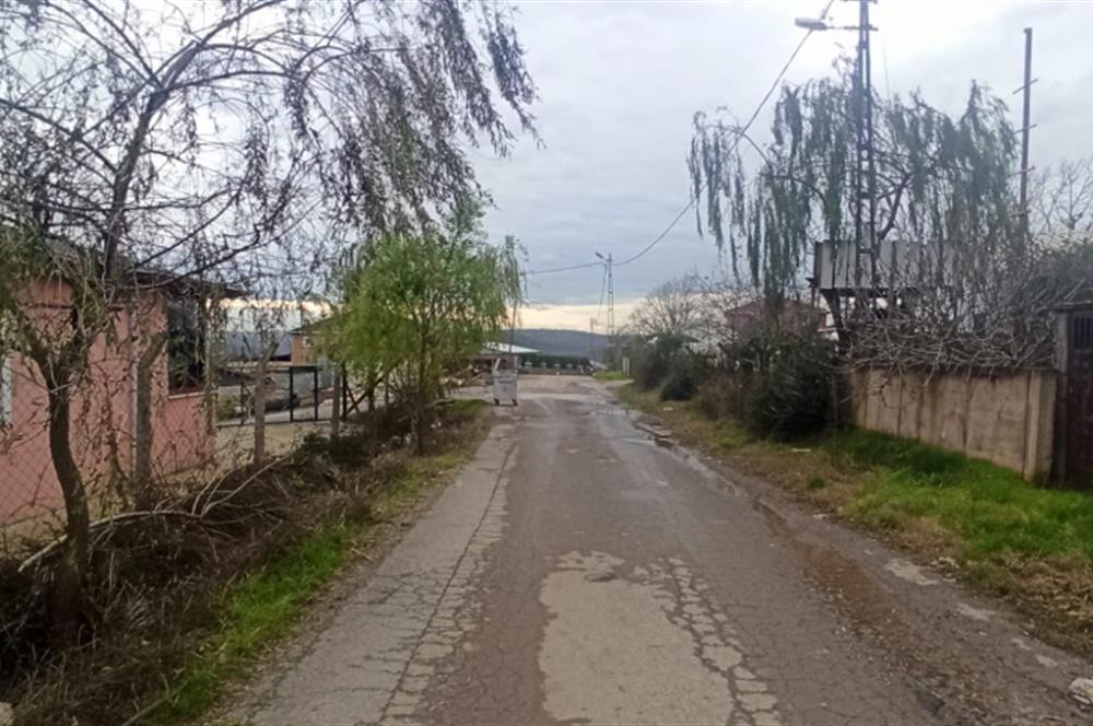PENDİK GÖÇBEYLİĞİ KÖYÜNDE 3500 M2 KİRALIK ARSA