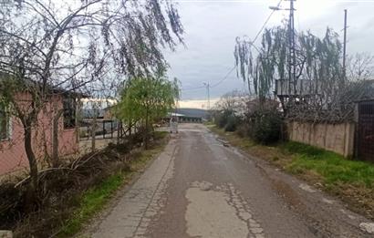 PENDİK GÖÇBEYLİĞİ KÖYÜNDE 3500 M2 KİRALIK ARSA