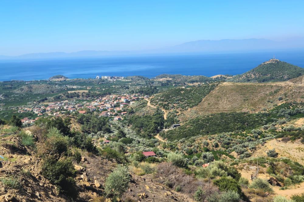 İzmir Özdere Cumhuriyet'te Full Deniz Manzaralı Satılık Tarla.