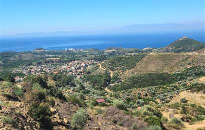 İzmir Özdere Cumhuriyet'te Full Deniz Manzaralı Satılık Tarla.