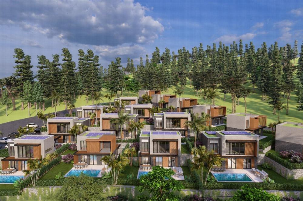 Projeden Satılık Müstakil Havuzlu Modern Mimari 4+1 Villalar | Dereköy - Gümüşlük