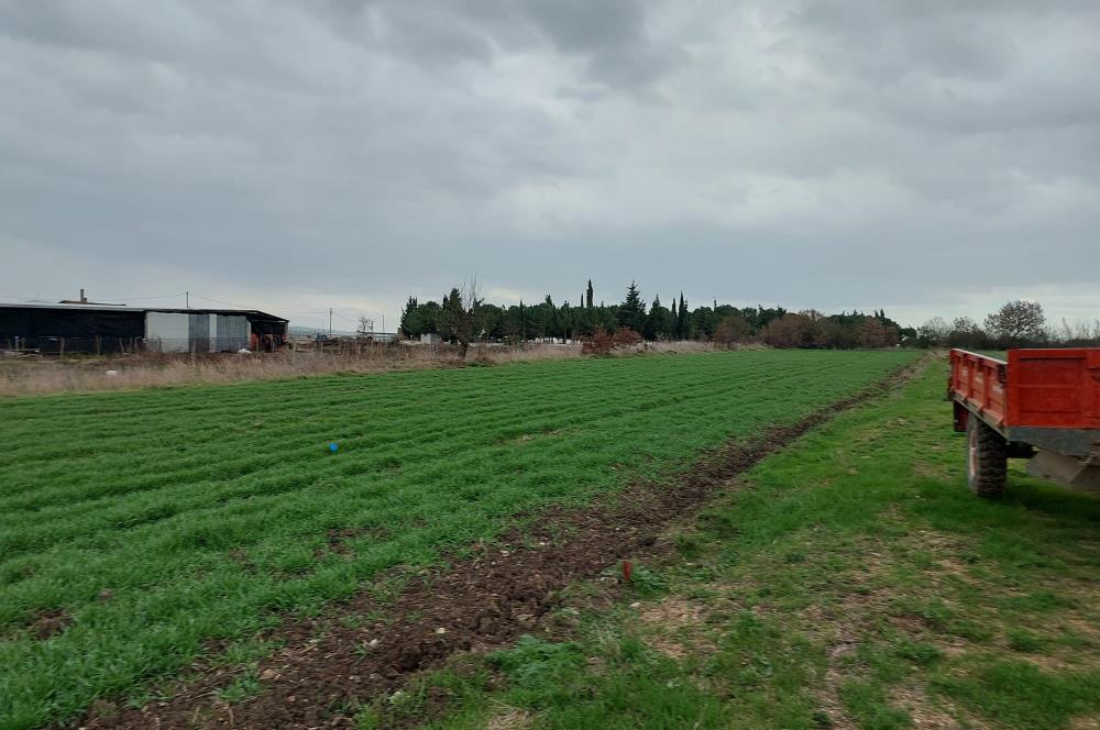 ÇANAKKALE KARACAALİ KÖYÜNDE İMARLI SATILIK ARSA