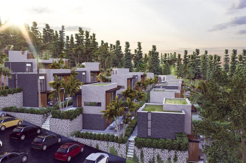 Projeden Satılık Müstakil Havuzlu Modern Mimari 4+1 Villalar | Dereköy - Gümüşlük