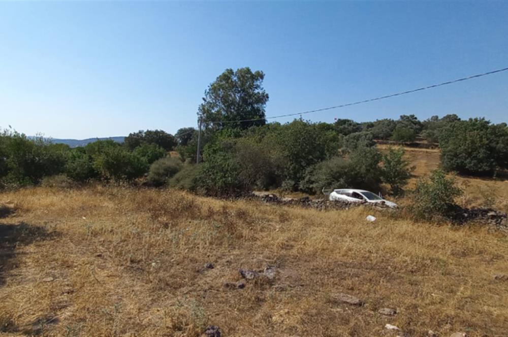 Bodrum Mumcular satılık  imarlı arsa