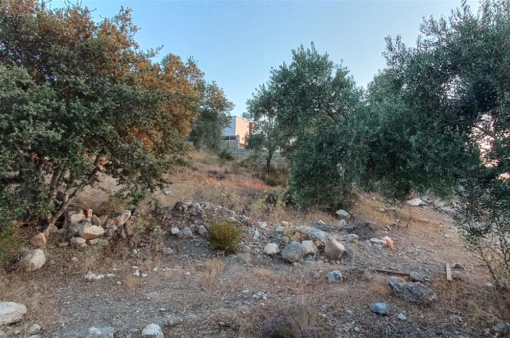 Milas Kıyıkışlacık satılık muhtesem bir yatirim firsatı  imarlı arsa