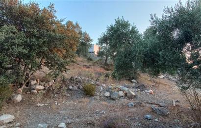 Milas Kıyıkışlacık satılık muhtesem bir yatirim firsatı  imarlı arsa