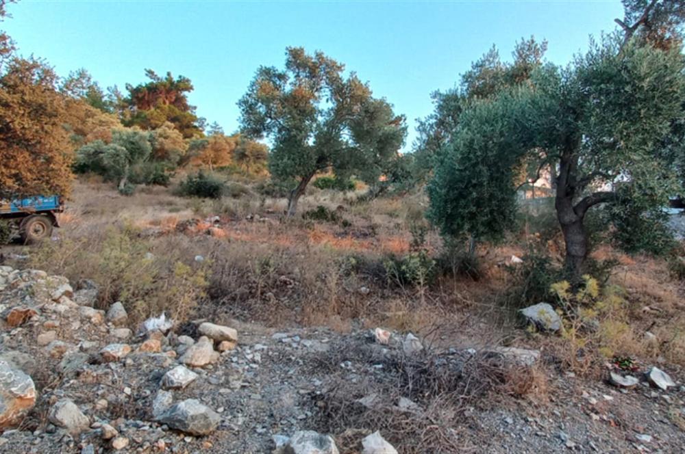 Milas Kıyıkışlacık satılık muhtesem bir yatirim firsatı  imarlı arsa