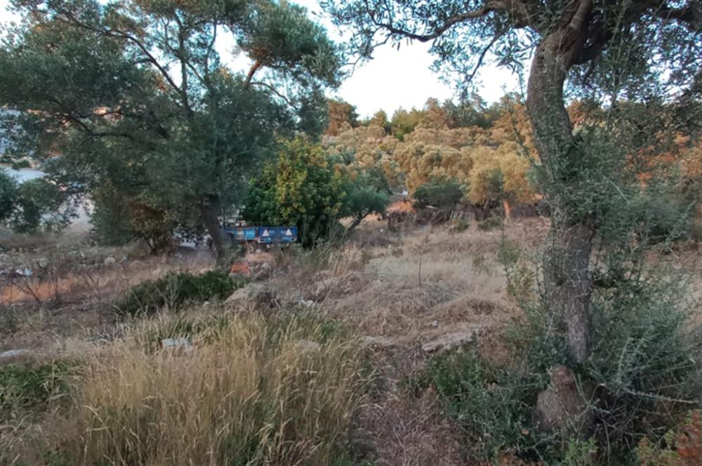 Milas Kıyıkışlacık satılık muhtesem bir yatirim firsatı  imarlı arsa