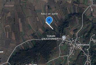SAKARYA HENDEK YUKARIÇALICADA SATILIK 1792 M2 TARLA