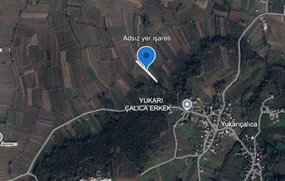 SAKARYA HENDEK YUKARIÇALICADA SATILIK 1792 M2 TARLA