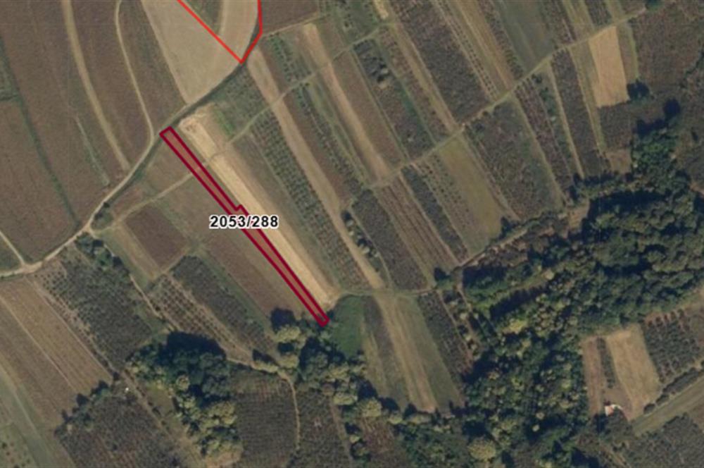 SAKARYA HENDEK YUKARIÇALICADA SATILIK 1792 M2 TARLA