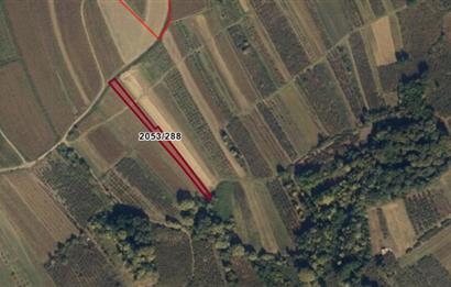 SAKARYA HENDEK YUKARIÇALICADA SATILIK 1792 M2 TARLA