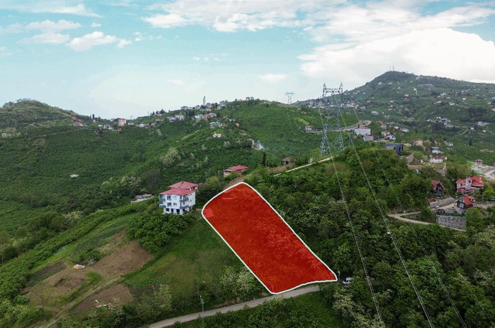 CENTURY21 UZMANDAN UĞURLUDA DENİZ MANZARALI FIRSAT ARSA