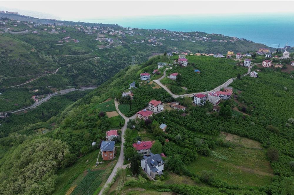 CENTURY21 UZMANDAN UĞURLUDA DENİZ MANZARALI FIRSAT ARSA