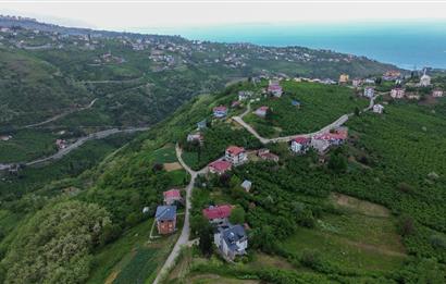 CENTURY21 UZMANDAN UĞURLUDA DENİZ MANZARALI FIRSAT ARSA