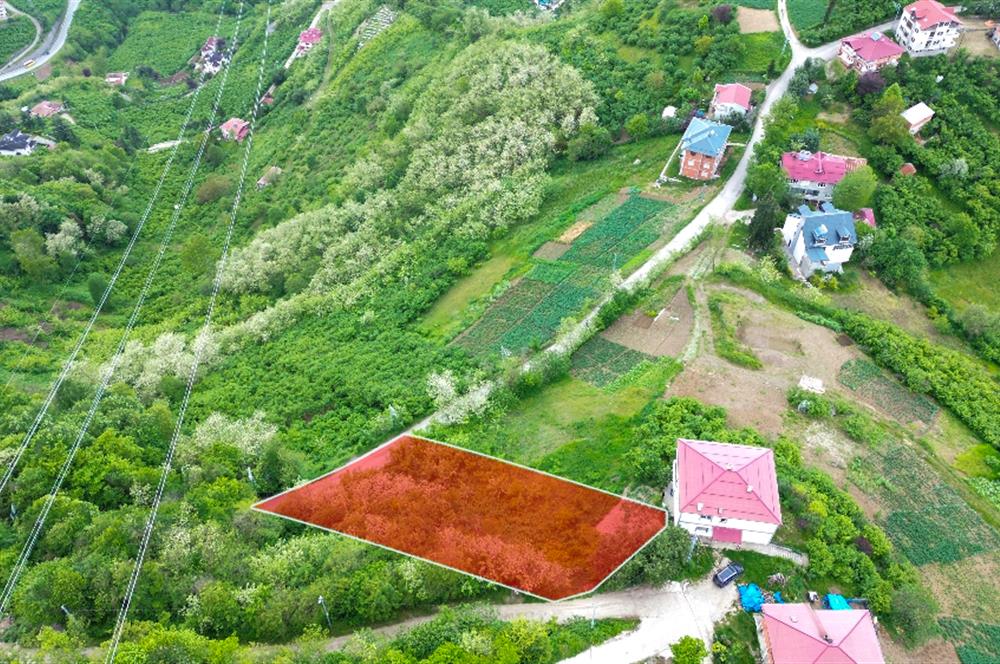 CENTURY21 UZMANDAN UĞURLUDA DENİZ MANZARALI FIRSAT ARSA
