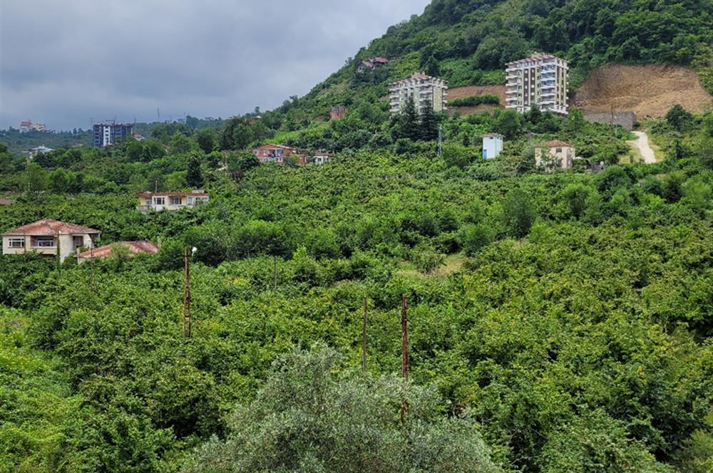 SİTE İÇERİSİNDE SIFIR EŞYALI DOĞA MANZARALI SATILIK DAİRE 