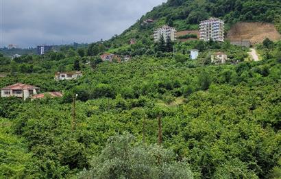 SİTE İÇERİSİNDE SIFIR EŞYALI DOĞA MANZARALI SATILIK DAİRE 