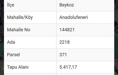ANADOLU FENERINDE YOLA YAKIN ARSA