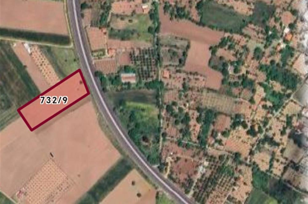 TAVAS'TA ANA YOL ÜZERİ SATILIK TARLA 
