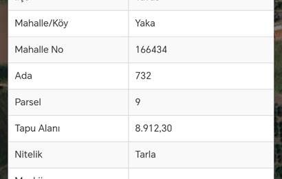 TAVAS'TA ANA YOL ÜZERİ SATILIK TARLA 