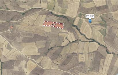 CENTURY21 Bal'DAN BALIKESİR KARESİ KIRMIZILARDA SATILIK TARLA