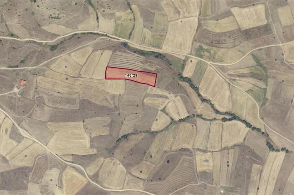CENTURY21 Bal'DAN BALIKESİR KARESİ KIRMIZILARDA SATILIK TARLA