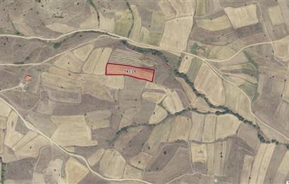 CENTURY21 Bal'DAN BALIKESİR KARESİ KIRMIZILARDA SATILIK TARLA