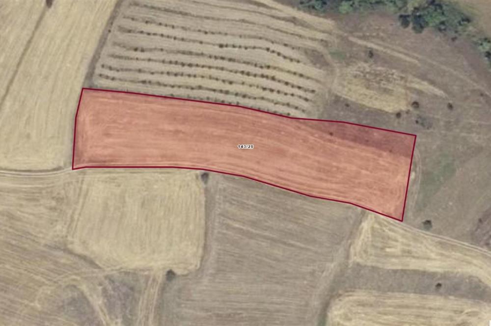CENTURY21 Bal'DAN BALIKESİR KARESİ KIRMIZILARDA SATILIK TARLA