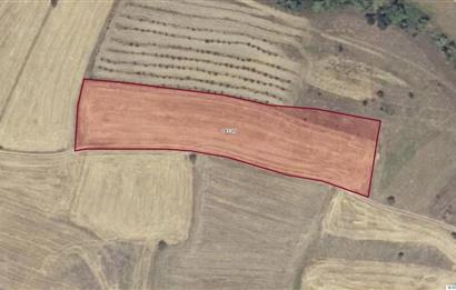 CENTURY21 Bal'DAN BALIKESİR KARESİ KIRMIZILARDA SATILIK TARLA