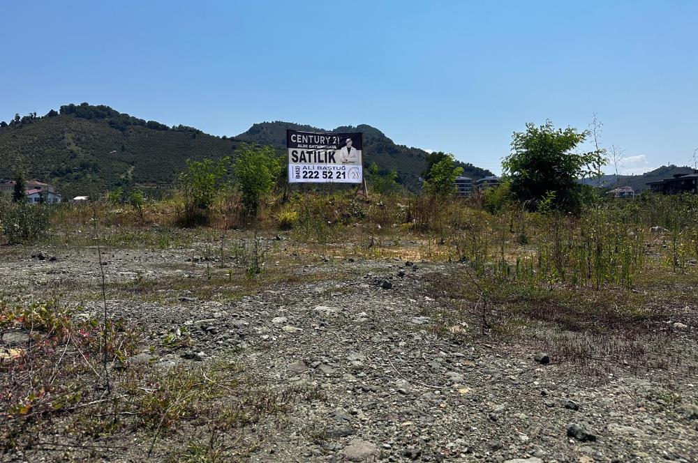 Ordu Gülyalı Turnasuyu'nda Denize Yakın 1070 m² Villa Arsası!