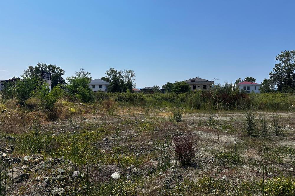 Ordu Gülyalı Turnasuyu'nda Denize Yakın 1070 m² Villa Arsası!