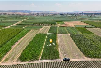C21 WİNNER BALIKESİR ATKÖY 1.500m² SATILIK TARLA