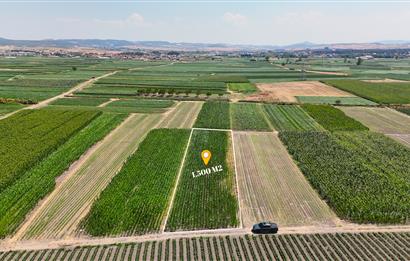 C21 WİNNER BALIKESİR ATKÖY 1.500m² SATILIK TARLA