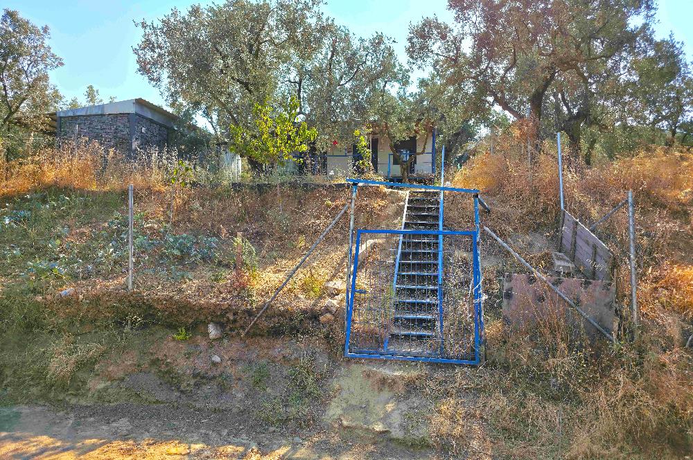 C21 Cius; Gedelek 396m² Göl Doğa Manzaralı Yola cephe Hobi bahç.