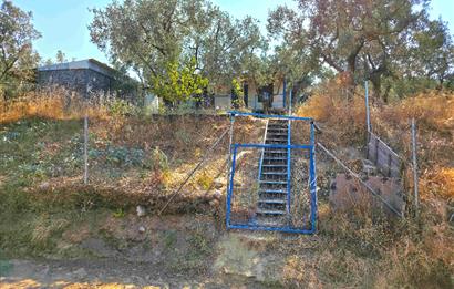 C21 Cius; Gedelek 396m² Göl Doğa Manzaralı Yola cephe Hobi bahç.