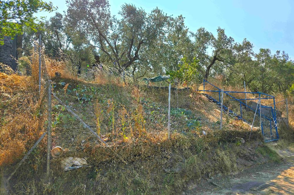 C21 Cius; Gedelek 396m² Göl Doğa Manzaralı Yola cephe Hobi bahç.