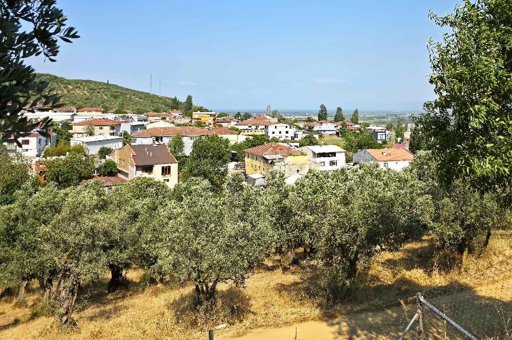 C21 Cius; Gedelek 396m² Göl Doğa Manzaralı Yola cephe Hobi bahç.