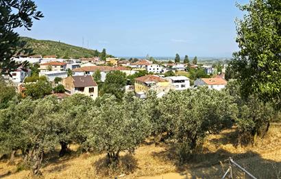 C21 Cius; Gedelek 396m² Göl Doğa Manzaralı Yola cephe Hobi bahç.