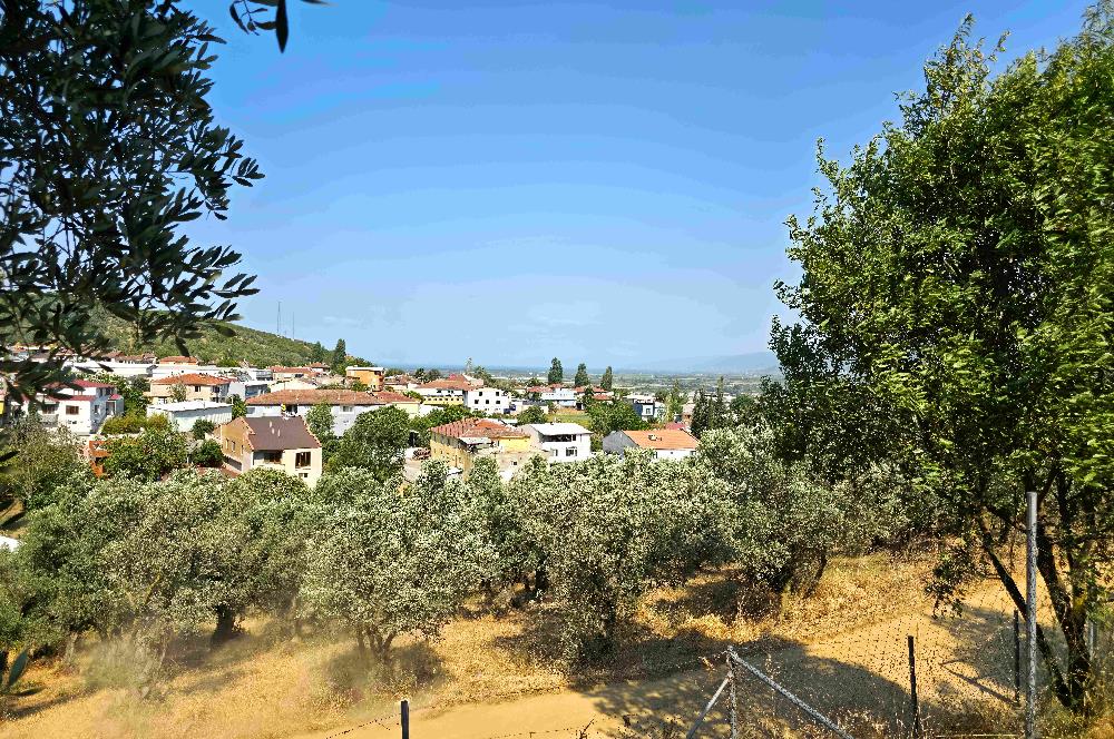 C21 Cius; Gedelek 396m² Göl Doğa Manzaralı Yola cephe Hobi bahç.