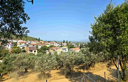 C21 Cius; Gedelek 396m² Göl Doğa Manzaralı Yola cephe Hobi bahç.