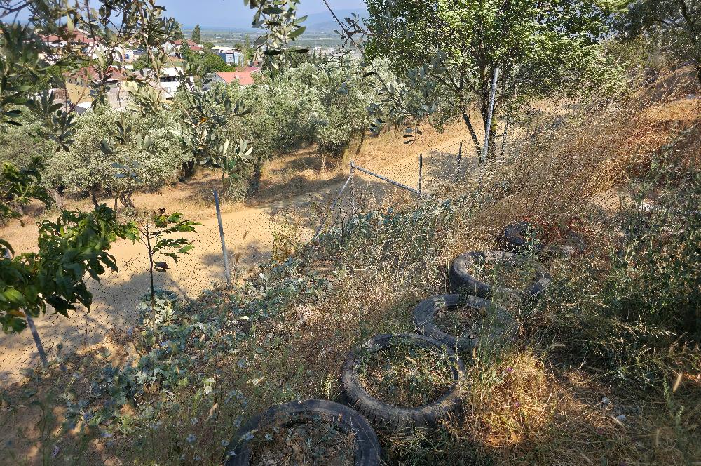 C21 Cius; Gedelek 396m² Göl Doğa Manzaralı Yola cephe Hobi bahç.