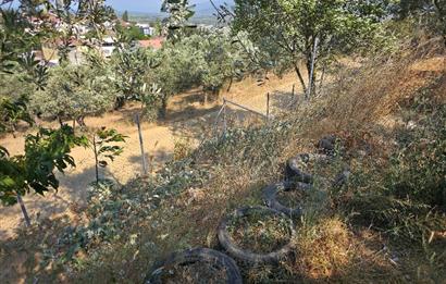 C21 Cius; Gedelek 396m² Göl Doğa Manzaralı Yola cephe Hobi bahç.