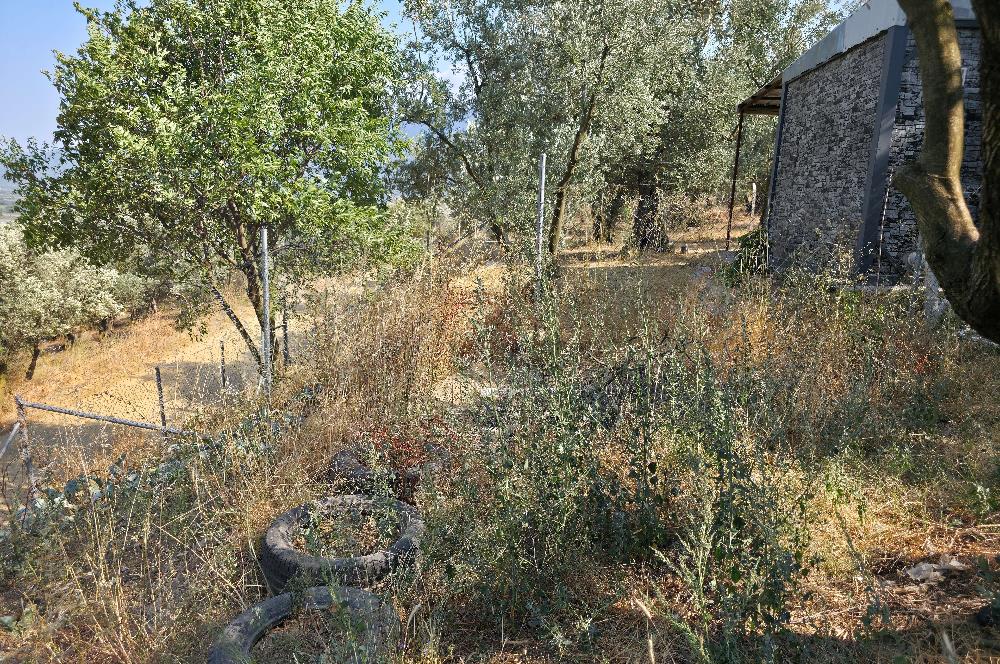 C21 Cius; Gedelek 396m² Göl Doğa Manzaralı Yola cephe Hobi bahç.
